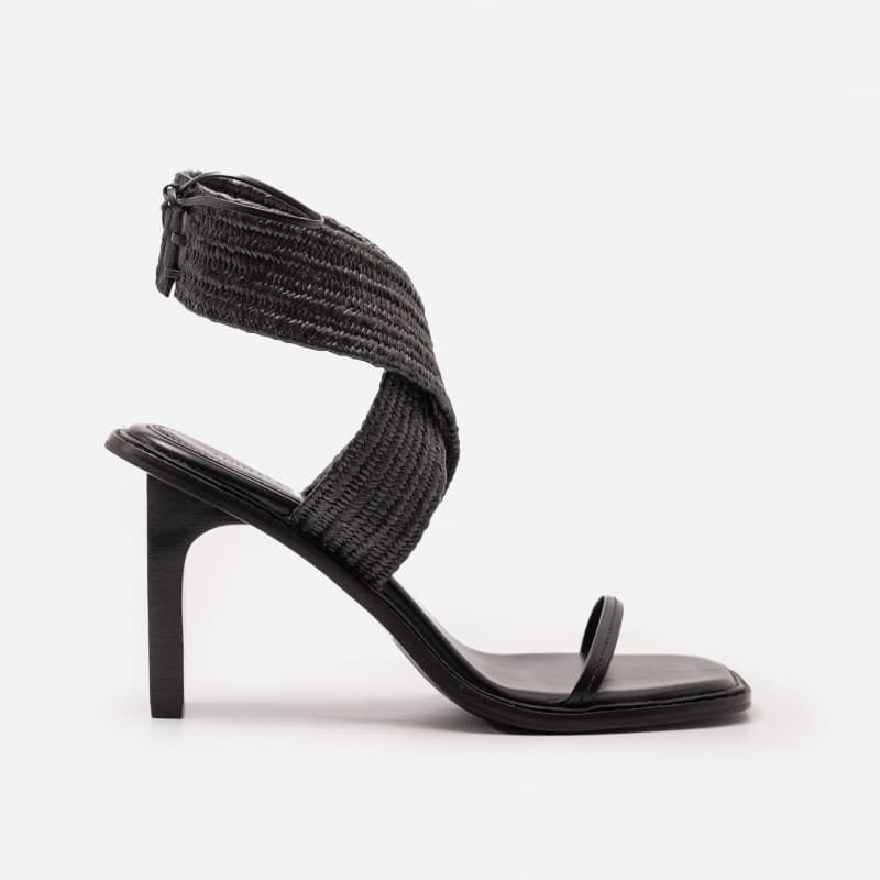 ANIMALE 09.01.2337 PRETO