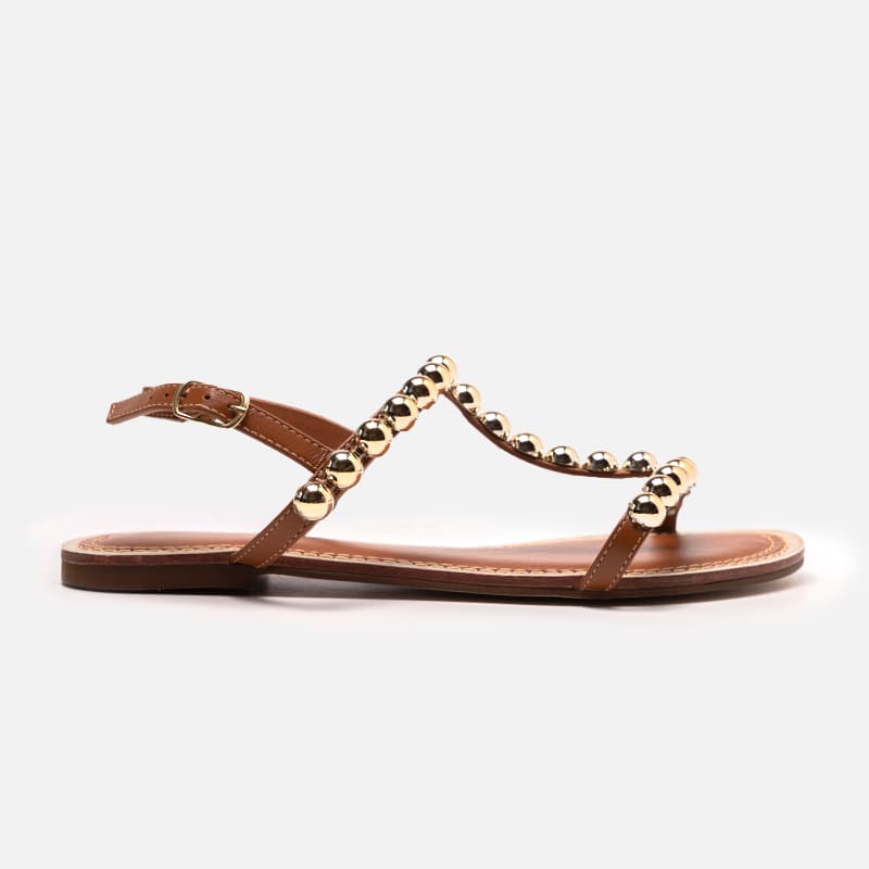SALTS - 653039 CAMEL
